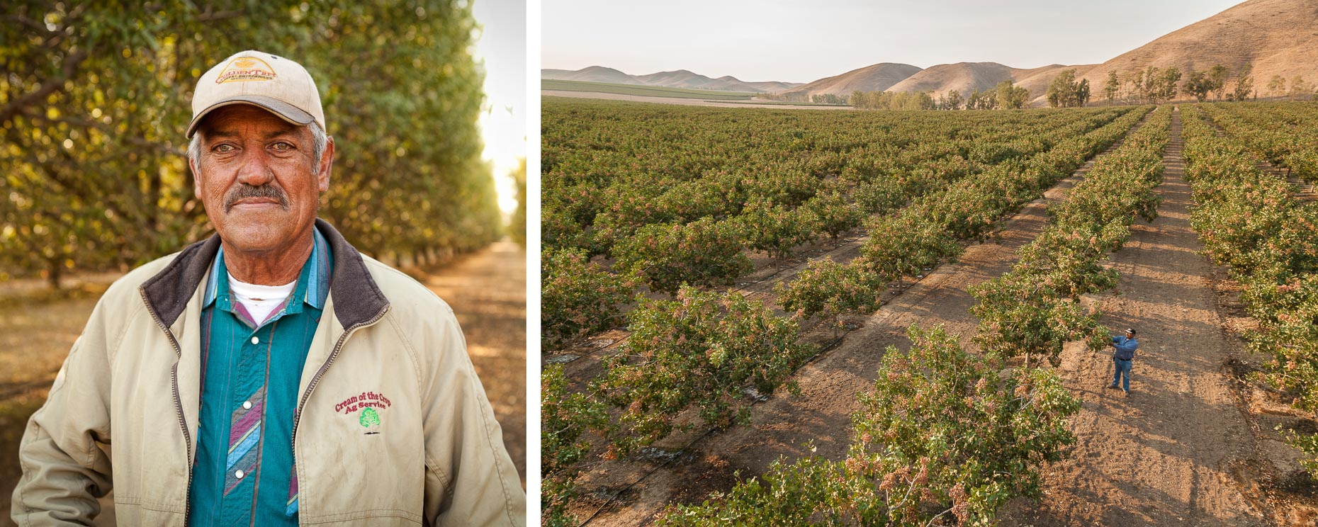 Portrait of farmworker and shot of orchard farm. Agriculture. David Zaitz Photography.
