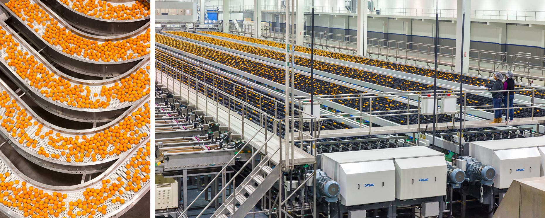 Citrus processing plant conveyer belt. Industrial. David Zaitz Photography.