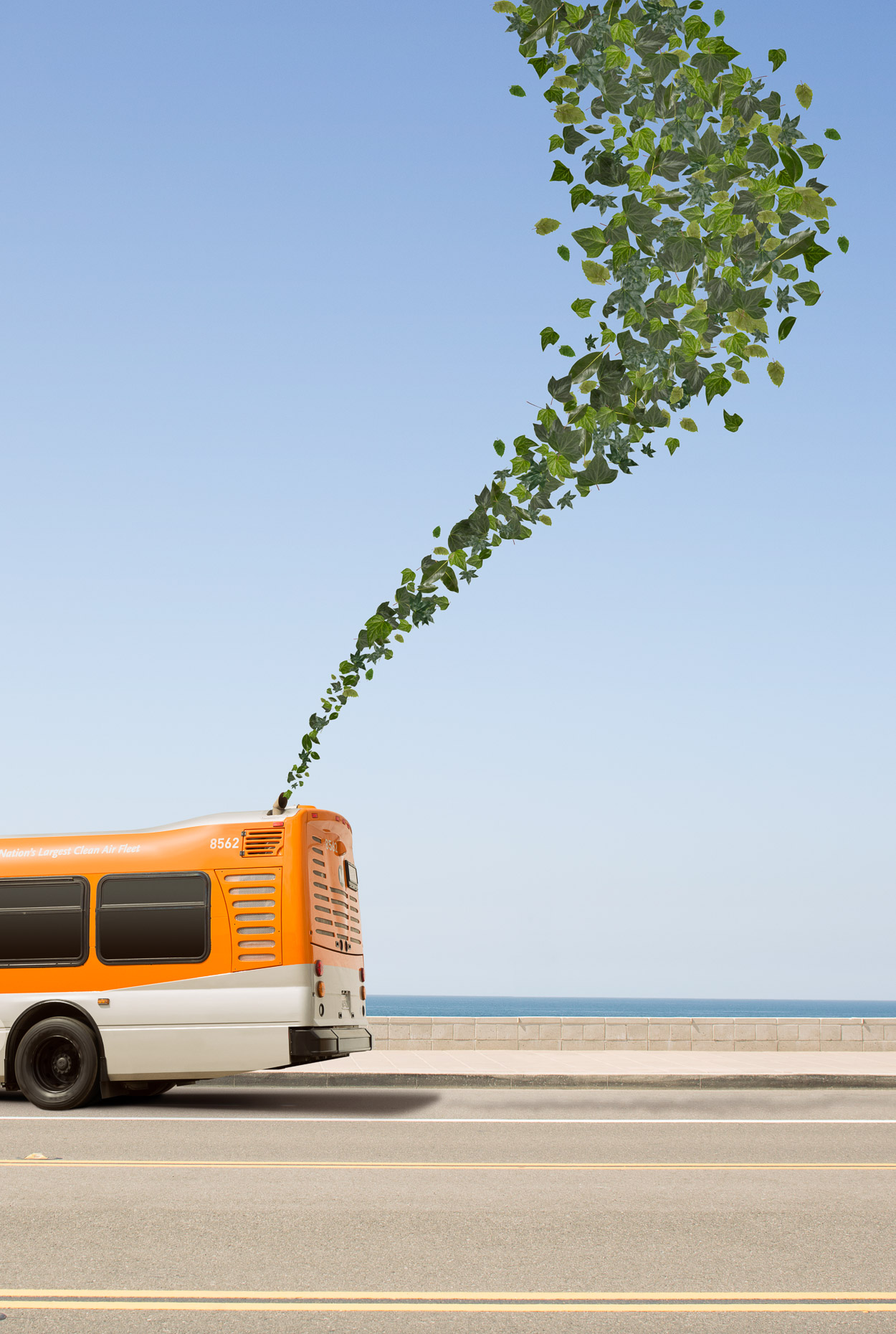 Bus on city street exhausts green leaves into air. David Zaitz