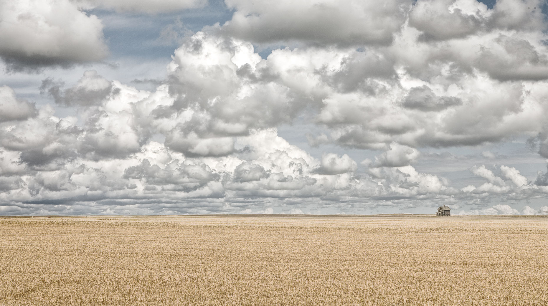 Farm house in wheat field with dramatic cloudy sky in Montana  by David Zaitz