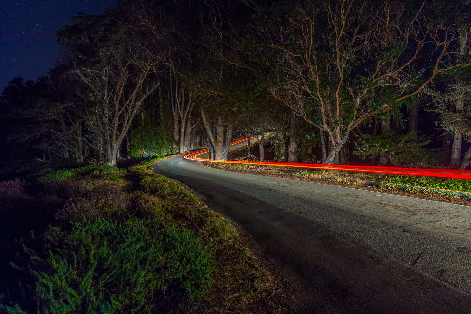 Streak of light from car driving on tree lined road at night in Morro Bay, California