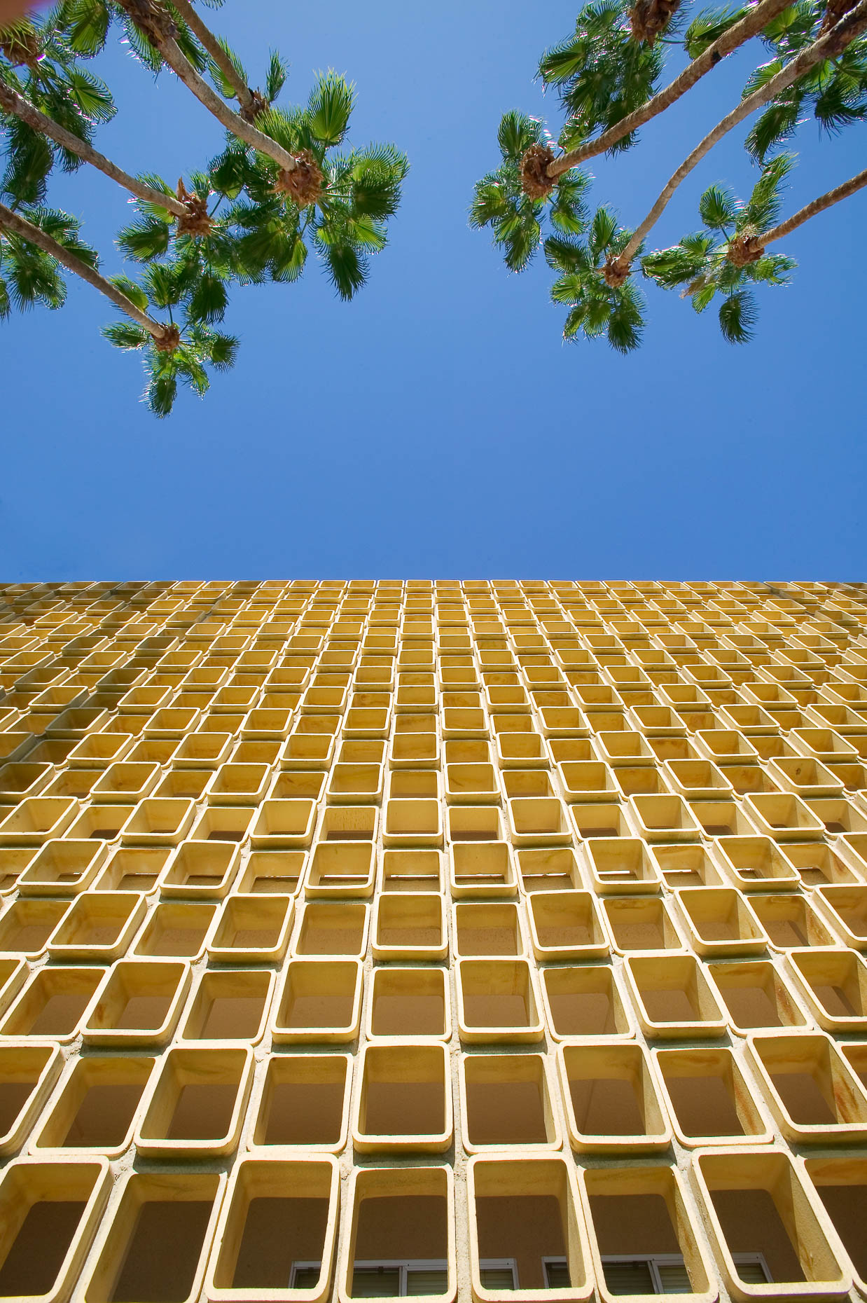 Architecture shot of building with decorative brick façade, looking up toward sky with palm trees. Palm Springs, California,  David Zaitz Photography.