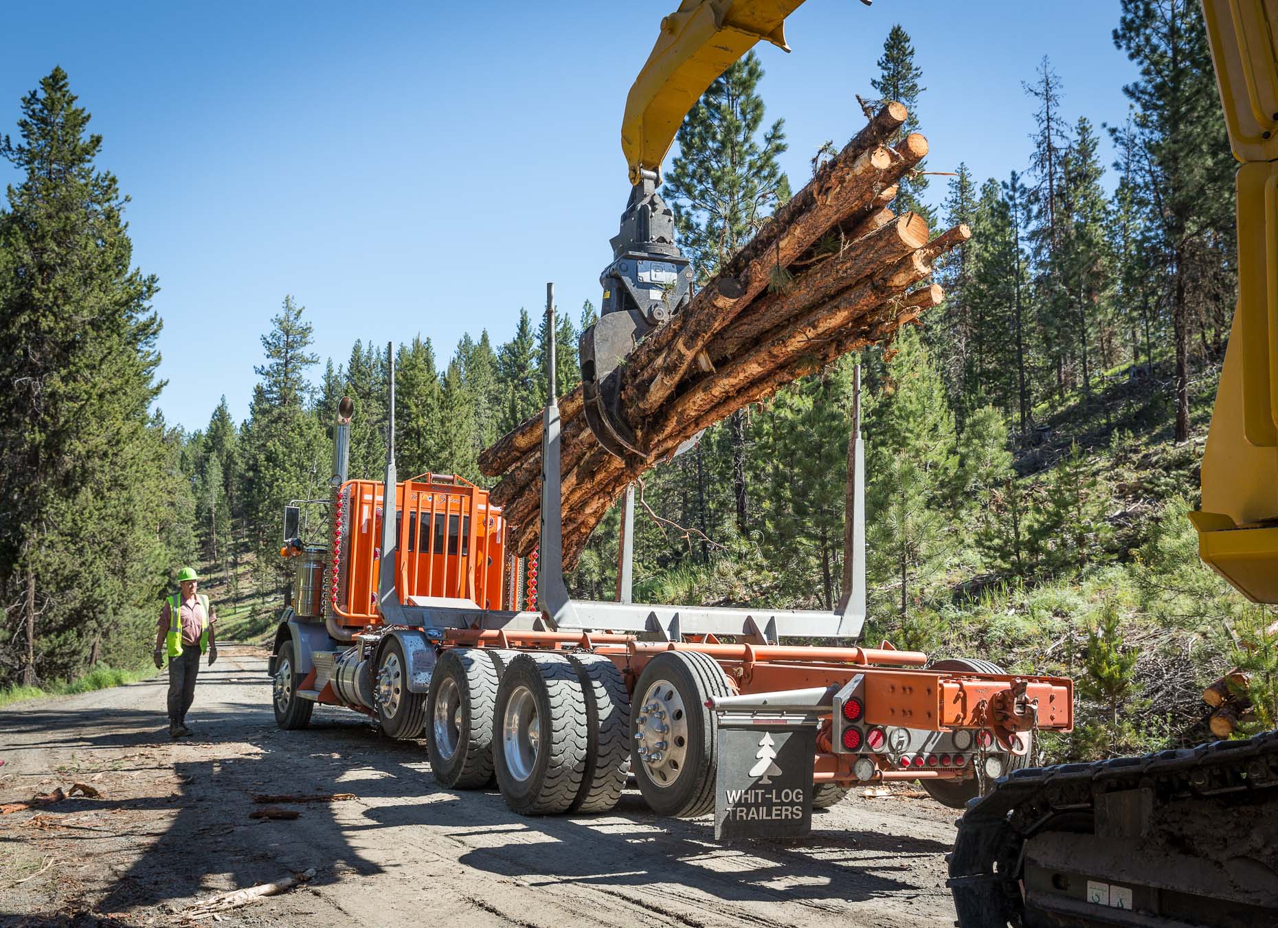 Crain with grip loads cut logs onto truck for transportation to lumber mill in Oregon, by David Zaitz
