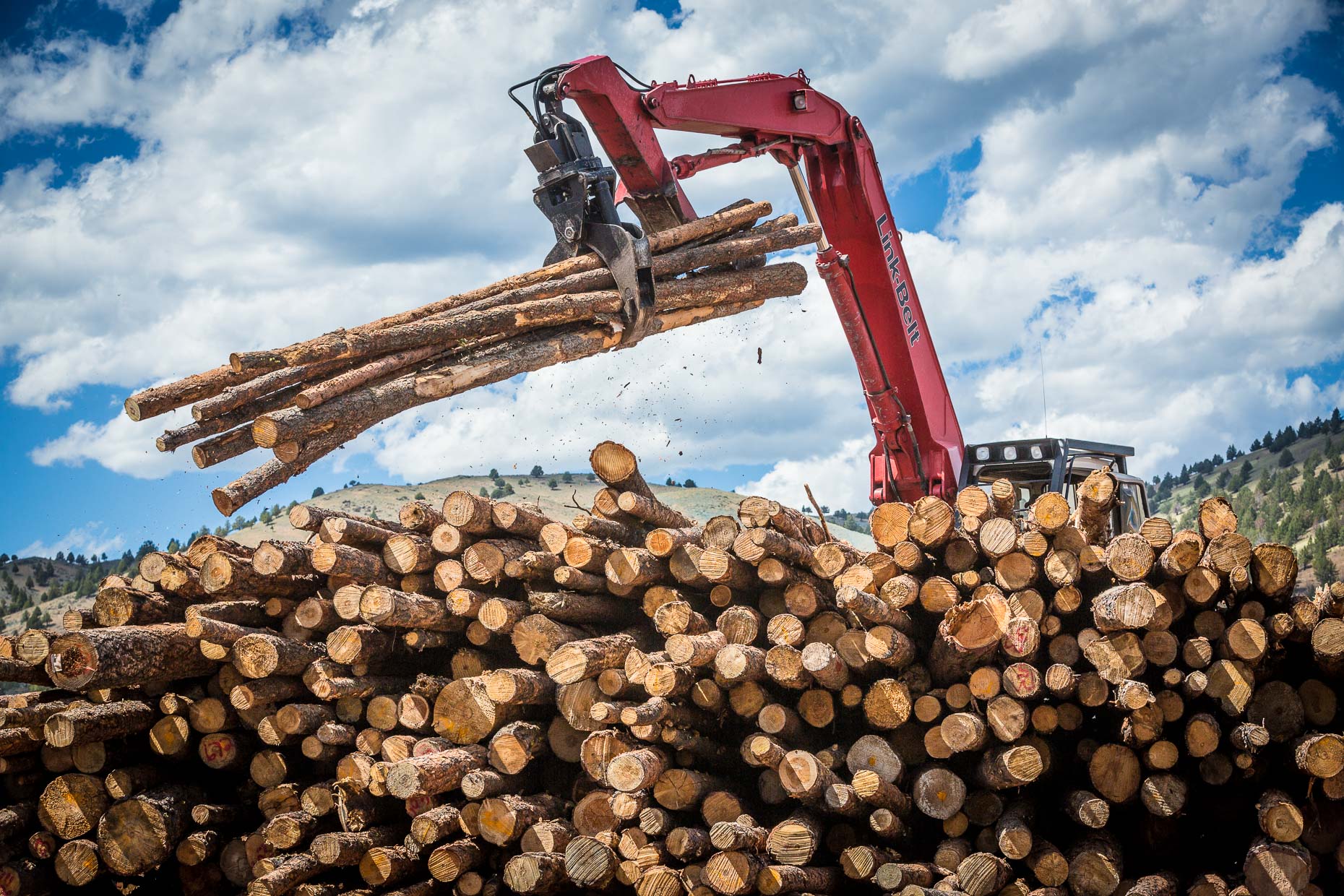 Machine with grip picks up logs from stack of logs to move into processing, Malheur Lumber Company mill in John Day, Oregon by David Zaitz.