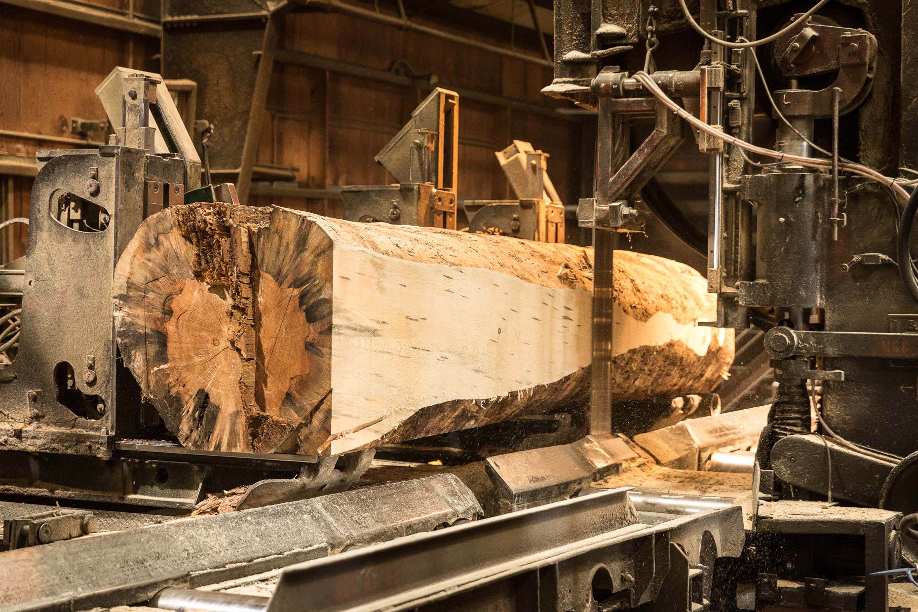 Large log being cut my automated saw in lumber mill, Malheur Lumber Company mill in John Day