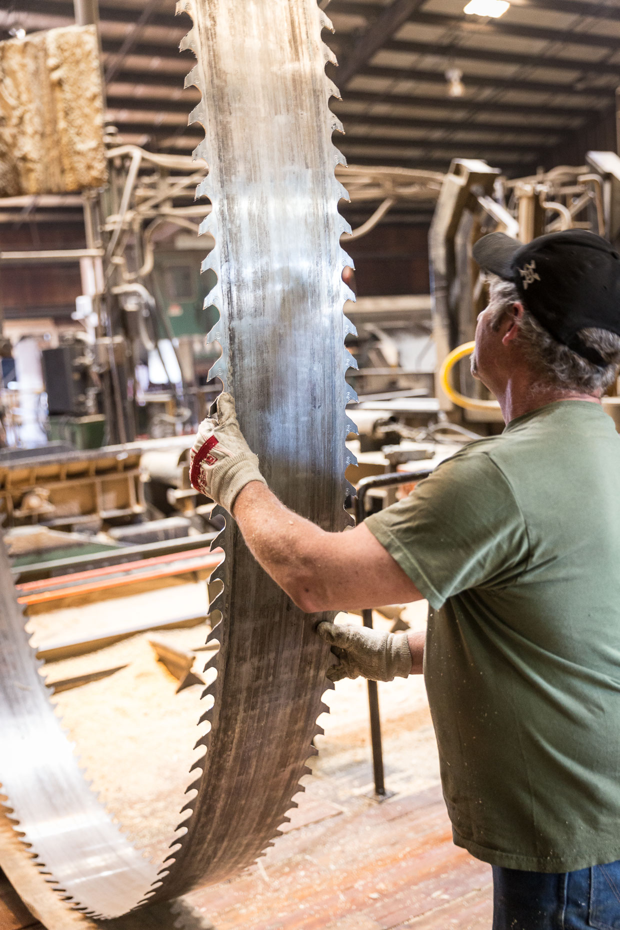 Man worker in lumber mill working with large band saw blade, removing from saw to be sharpened, Malheur Lumber Company mill in John Day, Oregon by David Zaitz.
