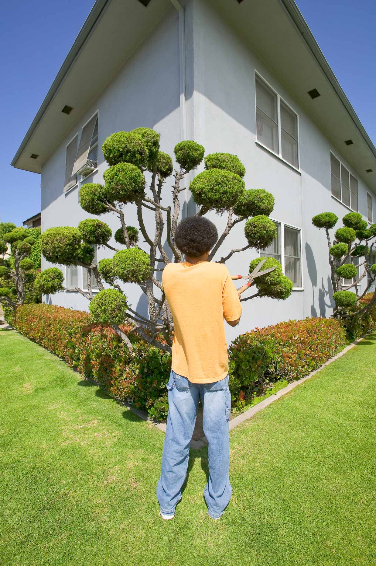 African American man with afro hair trims topiary in shape of his hair by David Zaitz.