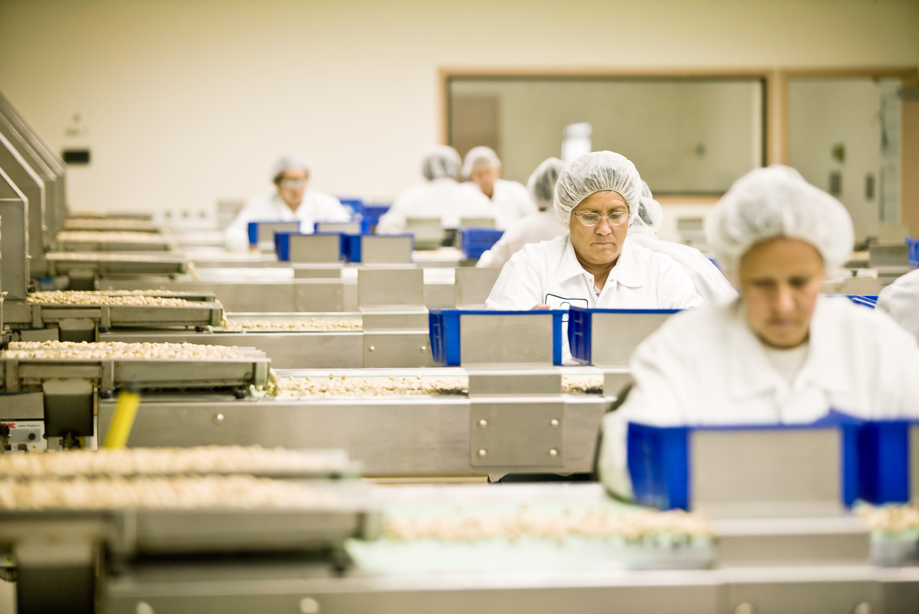 Women sorting inspecting pistachios in processing plant.