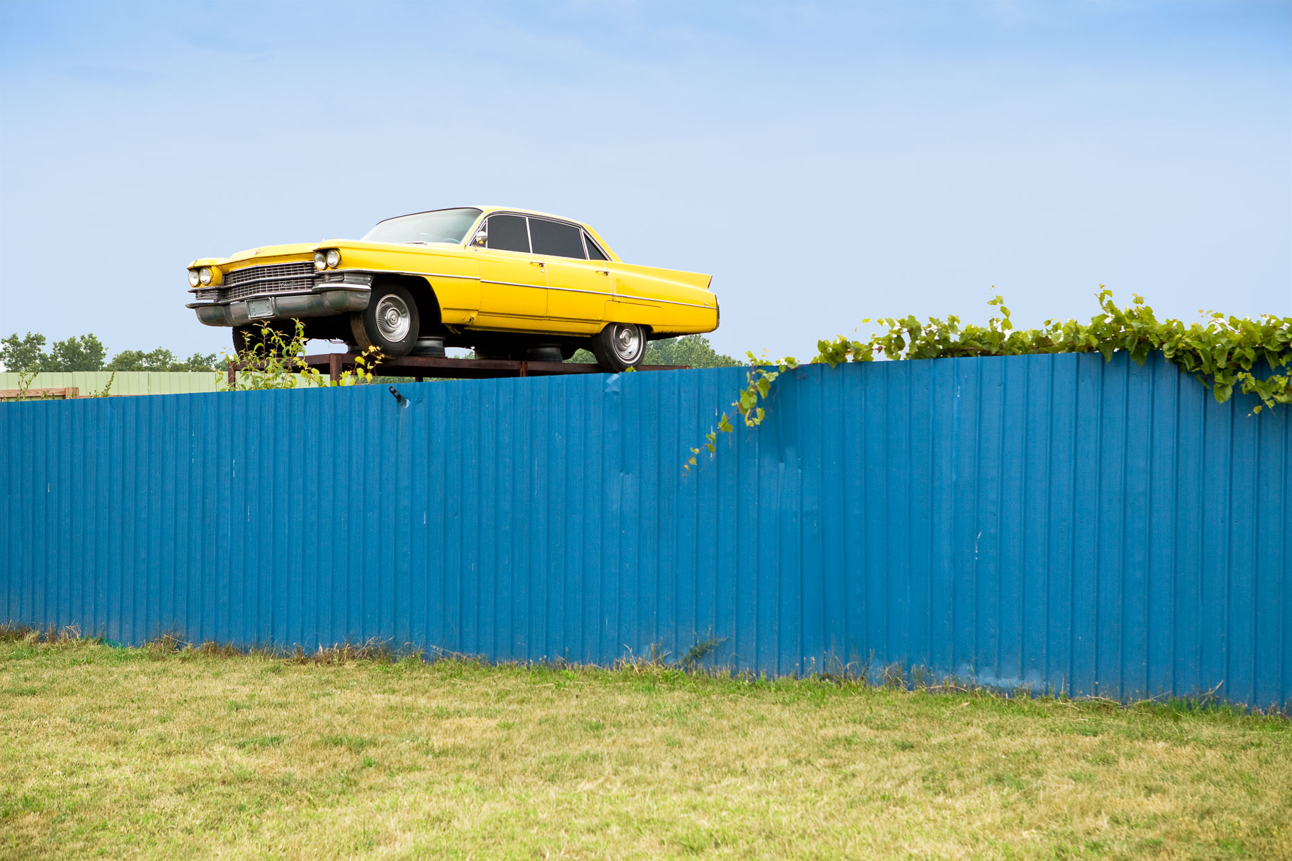 Yellow Cadillac car on top of blue fence at auto wrecking yard by David Zaitz